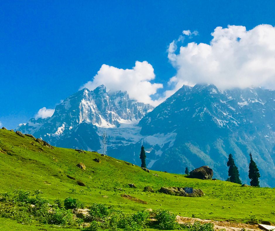 kashmir (5)